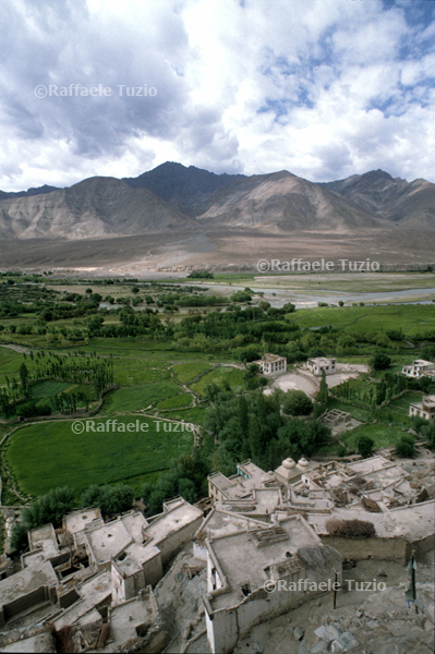 India_Ladakh39