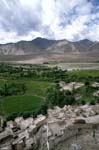 India_Ladakh39